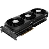 ZOTAC ZT-D40720J-10P, Carte graphique 