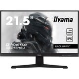 iiyama  21" Moniteur gaming  Noir