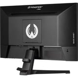 iiyama  21" Moniteur gaming  Noir