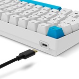 Sharkoon clavier gaming Blanc, Layout DE, Gateron G Pro 3.0 Yellow