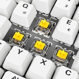 Sharkoon clavier gaming Blanc, Layout DE, Gateron G Pro 3.0 Yellow