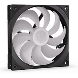 ENDORFY Fluctus 140 PWM ARGB, Ventilateur de boîtier Noir/transparent