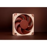 Noctua NF-A6x15 PWM, Ventilateur de boîtier 