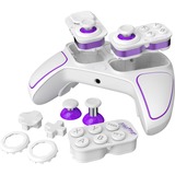 PDP 049-002-WH, Manette de jeu Blanc