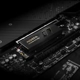 ADATA  SSD Noir/Or