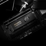 ADATA  SSD Noir/Or