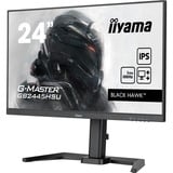 iiyama  24" Moniteur gaming  Noir (Mat)