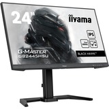 iiyama  24" Moniteur gaming  Noir (Mat)