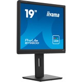 iiyama Prolite B1980D-B5 19" Moniteur  Noir, VGA, DVI