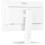 iiyama  23.8" Moniteur  Blanc (mat)