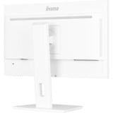 iiyama  23.8" Moniteur  Blanc (mat)