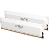 Crucial CP2K32G60C40U5W, Mémoire vive Blanc