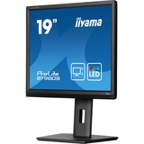 iiyama  19" Moniteur  Noir (Mat)