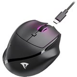 Sharkoon OfficePal M25W, Souris Noir, 400 - 4000 DPI, RGB, 2,4 GHz / USB