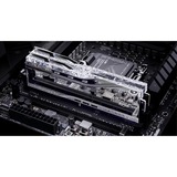 G.Skill F5-8200J4052F24GX2-TR5S, Mémoire vive Argent