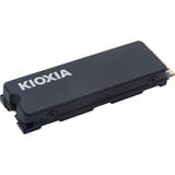 Kioxia  SSD 