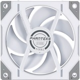 Phanteks D30-120 PWM Regular, Ventilateur de boîtier Blanc, 3 pièces, connecteur de ventilateur PWM à 4 broches