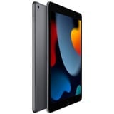 Apple  tablette 10.2" Gris