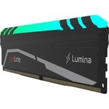 Mushkin Redline Lumina module de mémoire 16 Go 2 x 8 Go DDR4 3200 MHz, Mémoire vive Noir, 16 Go, 2 x 8 Go, DDR4, 3200 MHz, 288-pin DIMM