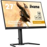 iiyama  27" Moniteur gaming  Noir (Mat)