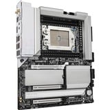 GIGABYTE TRX50 AERO D, Socket sTR5 carte mère Argent/Noir, RAID, 10GB-LAN, 2,5GB-LAN, WLAN, BT, Sound, E-ATX