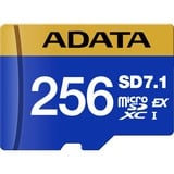 ADATA Premier Extreme microSDXC 256 GB, Carte mémoire Bleu/Jaune