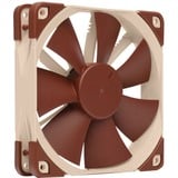 Noctua NF-F12 PWM, Ventilateur de boîtier Brun clair