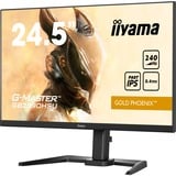 iiyama G-Master Gold Phoenix GB2790QSU-B5 27" Moniteur gaming  Noir (Mat), 240Hz, HDMI, DisplayPort, USB, Audio, AMD Free-Sync