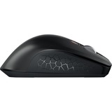 CHERRY JW-8550-2, Souris Noir