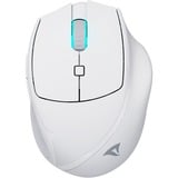 Sharkoon OfficePal M25W, Souris Blanc, 400 - 4000 DPI, RGB, 2,4 GHz / USB