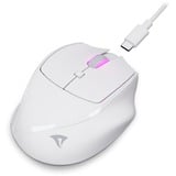 Sharkoon OfficePal M25W, Souris Blanc, 400 - 4000 DPI, RGB, 2,4 GHz / USB