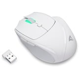 Sharkoon OfficePal M25W, Souris Blanc, 400 - 4000 DPI, RGB, 2,4 GHz / USB