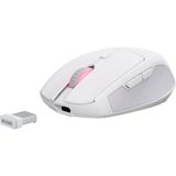 Sharkoon OfficePal M25W, Souris Blanc, 400 - 4000 DPI, RGB, 2,4 GHz / USB