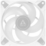 ARCTIC P14 PWM PST A-RGB, Ventilateur de boîtier Blanc, 4 broches PWM