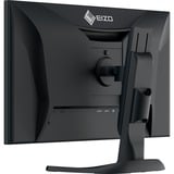 EIZO  42.5" 4K UHD Moniteur  Blanc