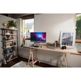 HP  23.8" Moniteur  Blanc/Argent