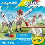 PLAYMOBIL 71517, Jouets de construction 