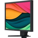 EIZO  21.3" Moniteur  Noir