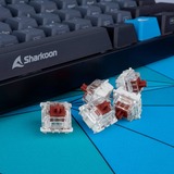 Sharkoon Gateron Pro 3.0 Brown, Switch pour clavier Marron/transparent