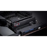 G.Skill F5-5600J4645A16GX2-RS5K, Mémoire vive Noir