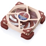 Noctua NV-MPP1.brown, Joint Marron, 4 pièces