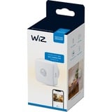 WiZ 9290023836AW, Lampe à LED 