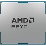 AMD  socket AM5 processeur Tray