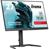 iiyama  27" Moniteur gaming  Noir (Mat)