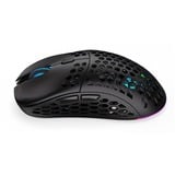 ENDORFY EY6A008, Souris gaming Noir