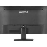 iiyama  23.8" Moniteur  Noir (Mat)