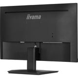 iiyama  23.8" Moniteur  Noir (Mat)