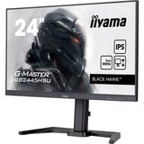 iiyama  23.8" Moniteur gaming  Noir (Mat)