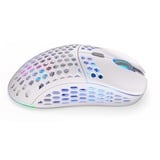 ENDORFY EY6A010, Souris gaming Blanc/gris