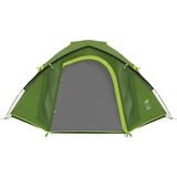 Coleman 2176905 Darwin 4 Plus, Tente Vert foncé/vert clair